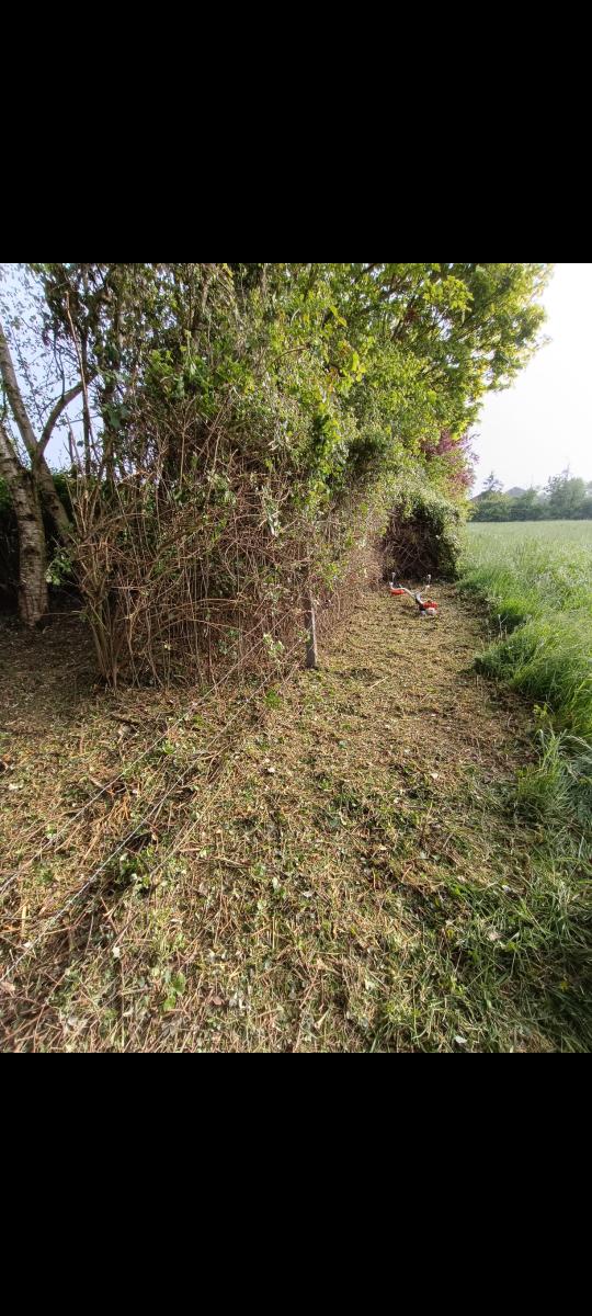 Chantier d'entretien de jardin réalisé par ANTOINE JARDIN SERVICES, paysagiste du réseau Factotum, près de Comines