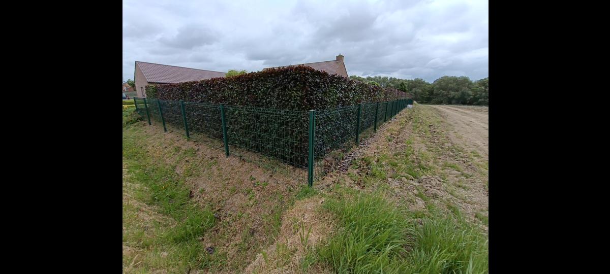 Chantier d'entretien de jardin réalisé par ANTOINE JARDIN SERVICES, paysagiste du réseau Factotum, près de Comines
